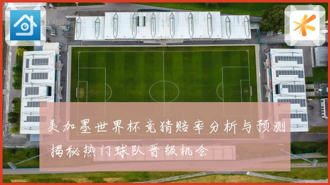 美加墨世界杯竞猜赔率分析与预测 揭秘热门球队晋级机会