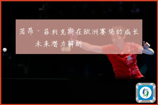 若昂·菲利克斯在欧洲赛场的成长与未来潜力解析