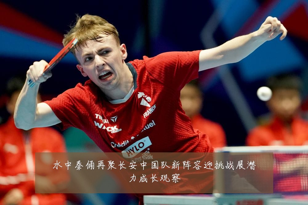 水中秦俑再聚长安中国队新阵容迎挑战展潜力成长观察